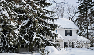 House hunting in cold weather. 