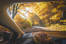 Personal perspective of man driving among a lush forest in autumn.