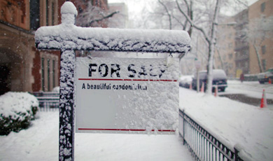 House hunting in cold weather. 