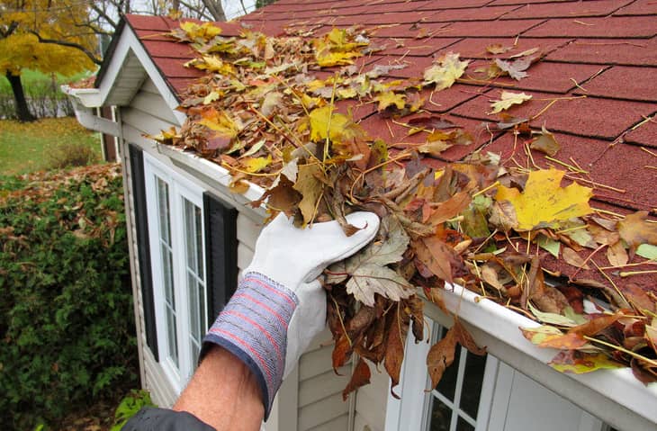 A professional cleaner grabbing leaves from a home gutter.