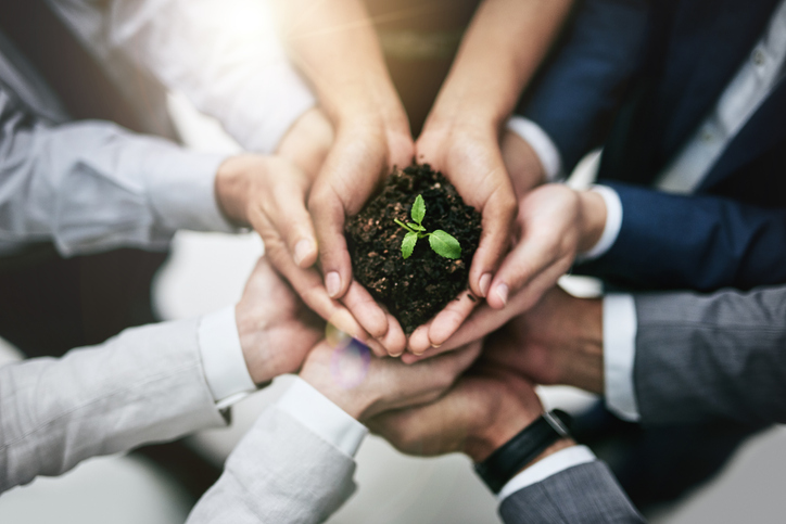 Five workers' hand holding soil with a plant sprouting