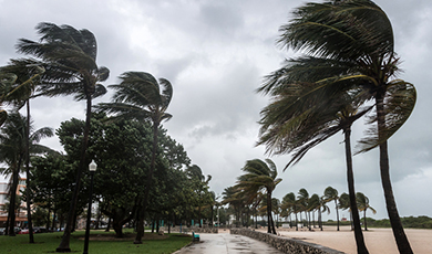 hurricanes.
