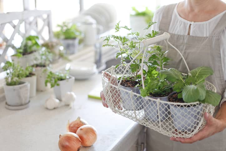 Woman holding a basket of three small plants.