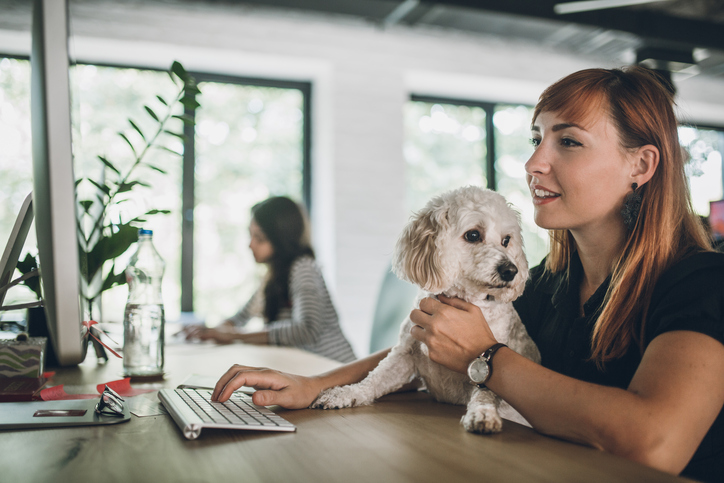 Woman at her work desk with a small dog in her lap.