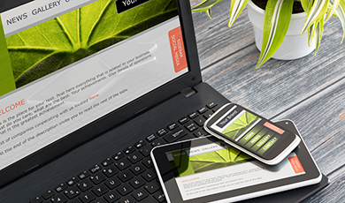 laptop and mobile device. 