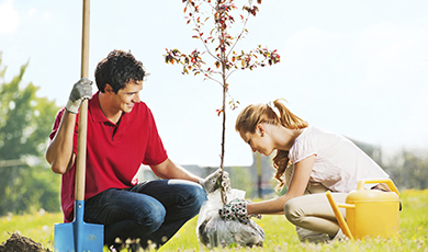 Image result for a couple planting trees
