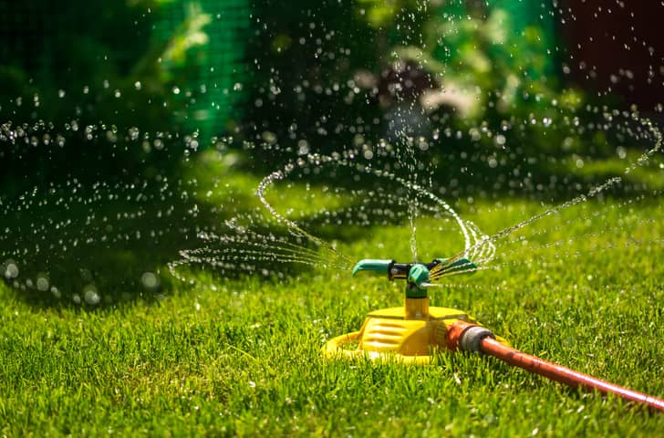 Sprinkler watering the grass.